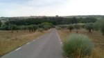 DSC_0287.jpg