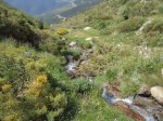 DSC06130.JPG