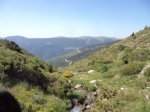 DSC06131.JPG