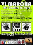 CartelMarcha2014.jpg