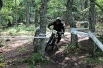 IMG_9758.JPG