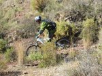 IMG_6290.JPG