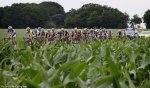 dutch-champs14-grass.jpg