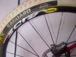 IMG-20140619-00518.jpg