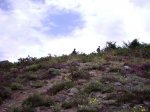 31-carisa.JPG