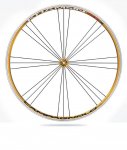 KHAMSIN_Gold-Front.jpg