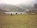 IMAGE0007.JPG (Small).JPG