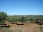 DSC00670.jpg