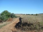 DSC00671.jpg