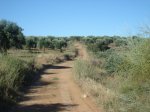 DSC00672.jpg