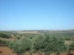 DSC00676.jpg