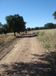 DSC00685.jpg