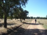 DSC00687.jpg