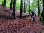 DSCF5007 (Medium).JPG