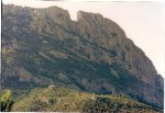 puig campana.jpg