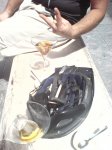 DSC00132.JPG