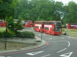DSCN0485.JPG