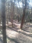 20140630_193248.jpg