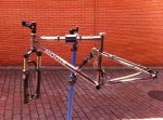 IMG_1994.JPG