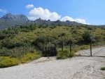 IMG_2038.jpg