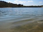 IMG_2052.jpg