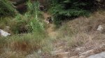 IMG_8199.JPG