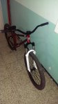 IMAG0937.jpg