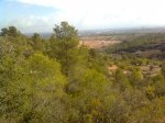 Imagen3042.jpg