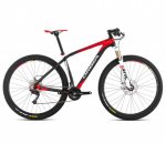 B226TTCC-R6-SIDE-ALMA29-H30.jpg