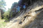 vlcsnap-2014-07-06-19h00m10s232.jpg
