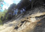 vlcsnap-2014-07-06-19h03m46s31.jpg