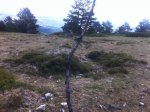 IMG_0004.JPG