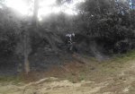 vlcsnap-2014-07-06-17h43m33s35.jpg
