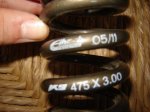 DSC01050.JPG