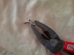 IMG-20140708-00363.jpg