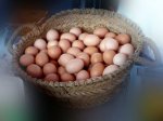 capazo_de_huevos-640x640x80-1.jpg