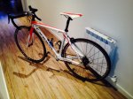 orbea1.jpeg
