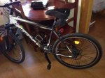 orbea2.jpg