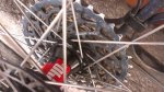uploadfromtaptalk1405198847715.jpg