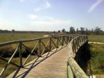 puente de bellavista.jpg