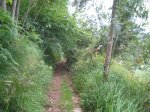 IMG_3681 (Medium).JPG