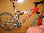 BICI 018.jpg