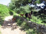 Baua-julio-07-003.jpg