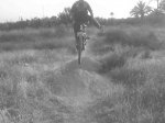 DSC00047.jpg