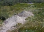 DSC00613.JPG