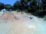 12-05-07_1252.jpg