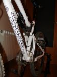DSC07515.JPG