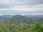 DSCN0193 (Medium).JPG