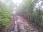 20140702_105624.jpg