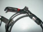 DSCN6100.JPG